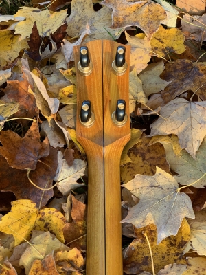 Hand-carved volute at Osage Orange (Bois d'arc) neck and peghead
